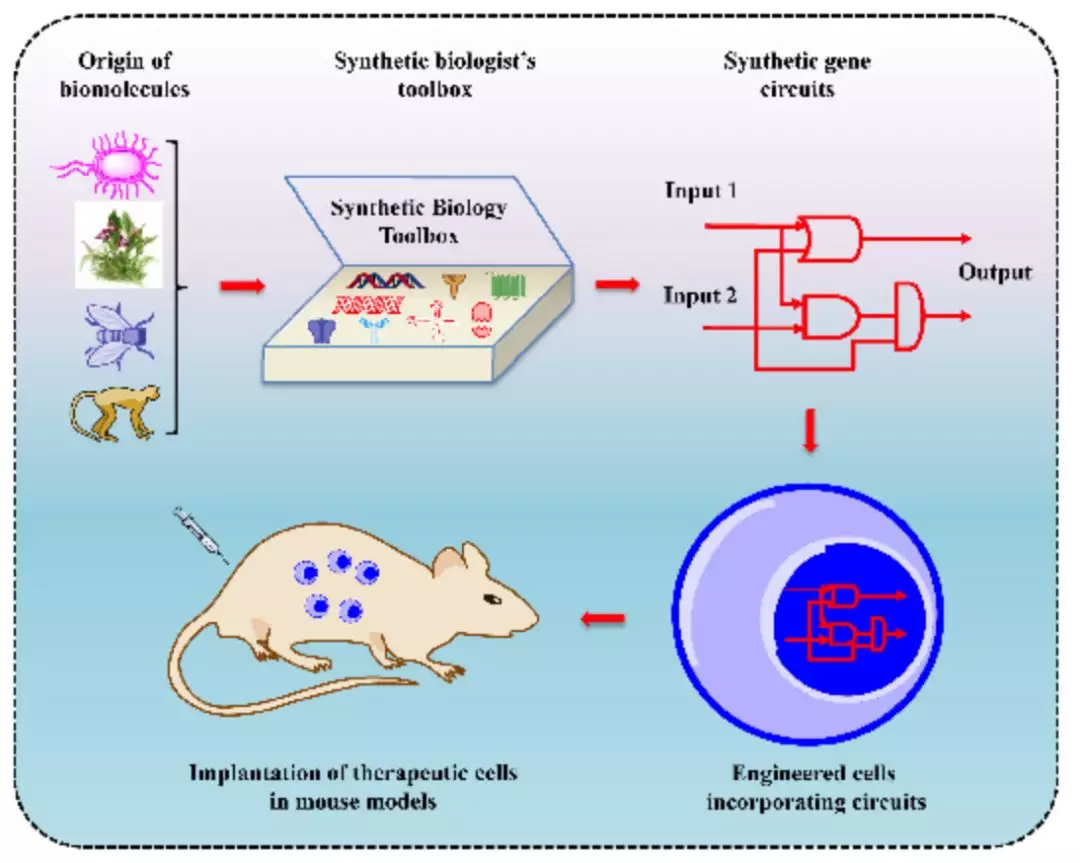 華東師范大學生物醫學工程課題組招聘專任副研究員、專任助理研究員、博士後 科技 第1張