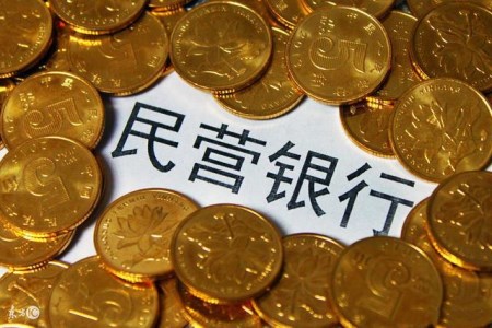 中国一共有多少家不同的银行哪些不属于国有银行