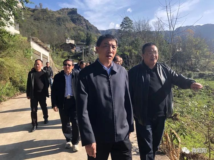 查看炎山镇乡村道路建设情况区人大常委会主任罗正国,区委常委,区委办