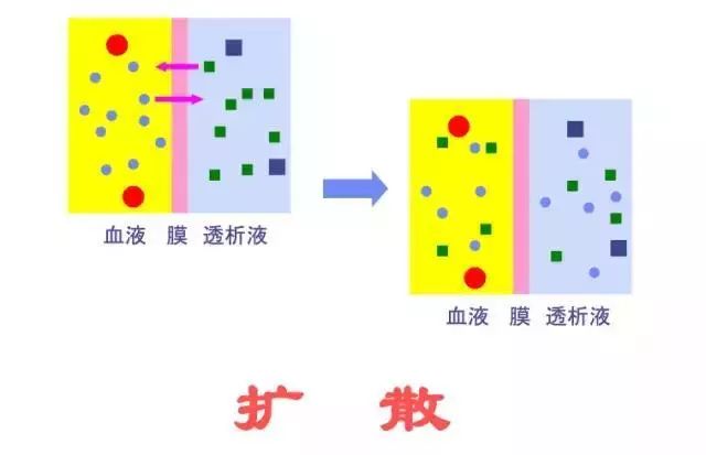 溶质的清除原理过程:将血液引入装有固态吸附剂的灌流器中—清除