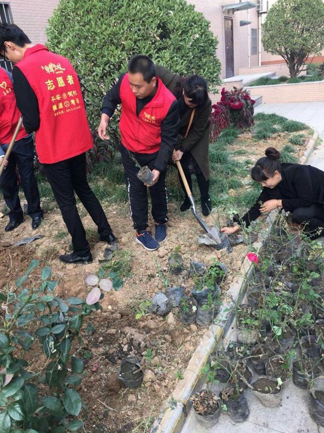 韩城市发改委:党员干部进社区 植树栽花助共建(组图)