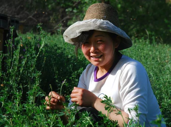 养蜂的女人,你最美!