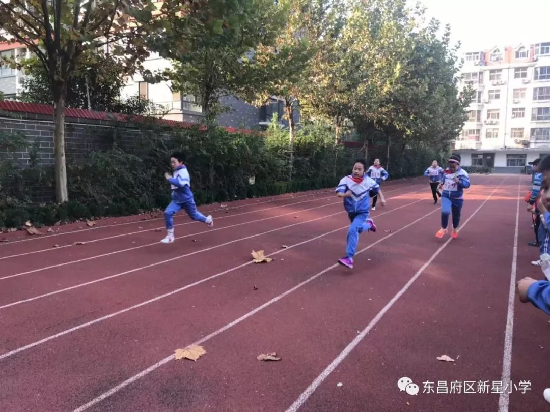 奔跑青春季炽热少年心东昌府区新星小学隆重举行2018年秋季运动会