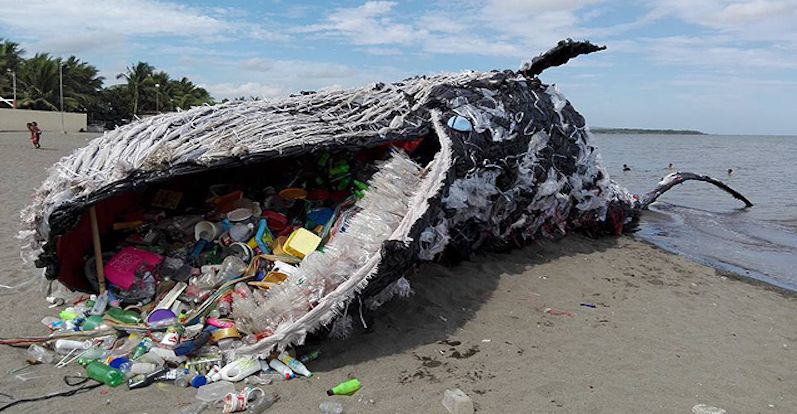 几个塑料袋装东西,为什么却已经在深深的伤害着地球?