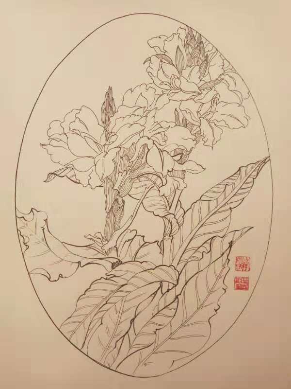 33,叶志军的钢笔画第七百三十四幅——美人蕉(中性笔白描花卉习作)