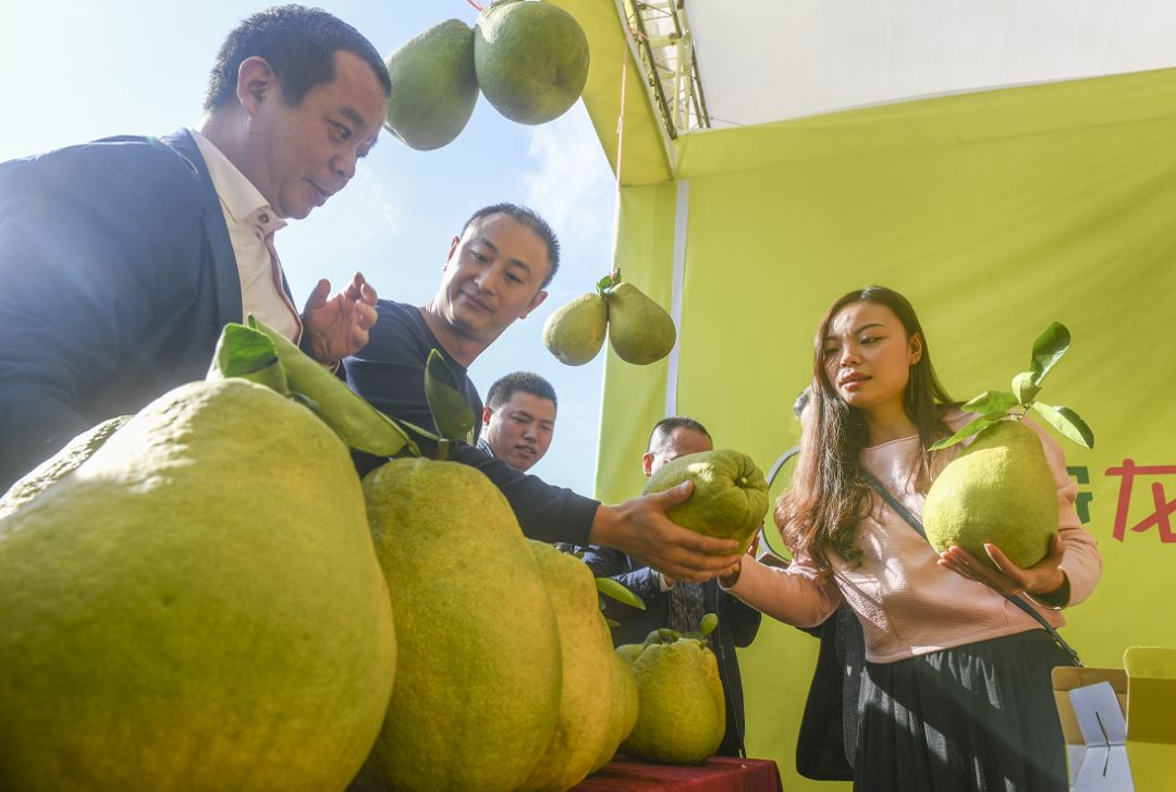 柚子居然能做菜一场活动带你了解广安龙安柚的秘密