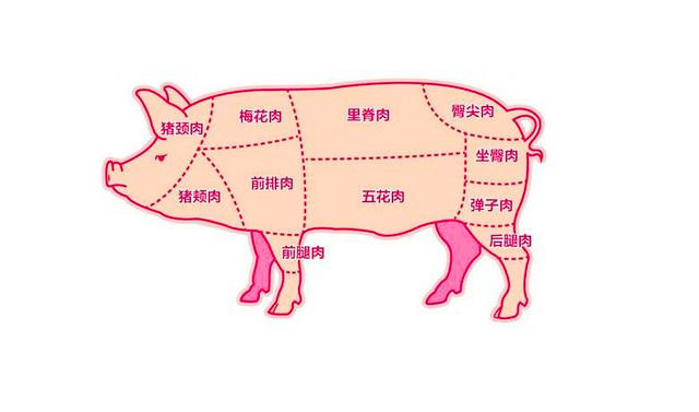 杀了30年猪的大叔教你猪肉14个部位分布图还有各部分肉的用途