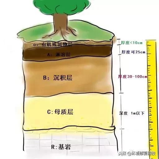 土壤剖面分层结构图 千图网