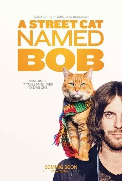 明日值得觀看的電影推薦，《流浪貓鮑勃》了解一下喵！ 娛樂 第4張