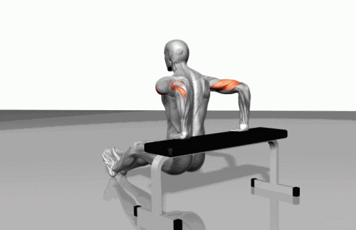 钢线下拉 肱肌训练 滚轮支点俯卧撑 硬拉 平板卧推 平凳肱三头肌训练