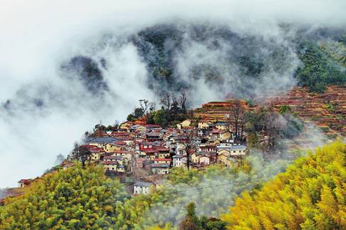 丽水松阳箬寮原始森林旅游攻略