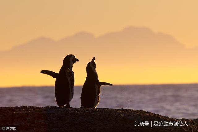 你是别人口中碌碌无为的孙大圣_你是别人口中碌碌无为的孙大圣是什么歌