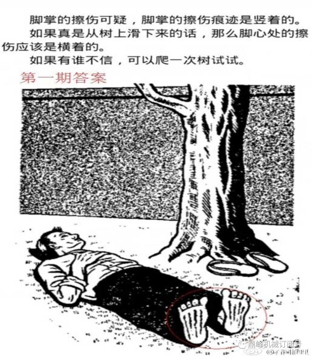 开拓大脑思维《看图推理》,第一期答案已公布,你们猜对了吗?