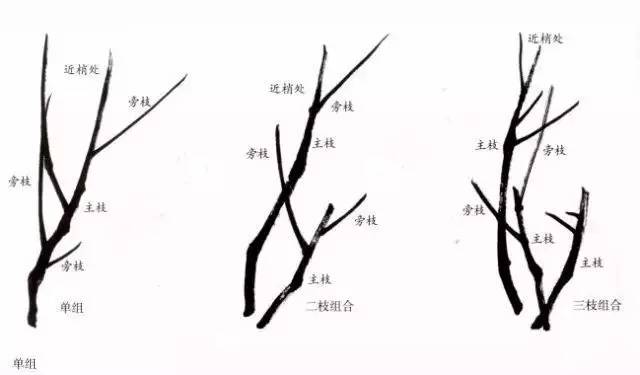 梅花画法,经典实用(吴昌硕齐白石画梅法)