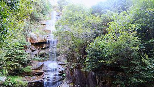 全国网媒记者走进石门山峡谷尽享天然大氧吧