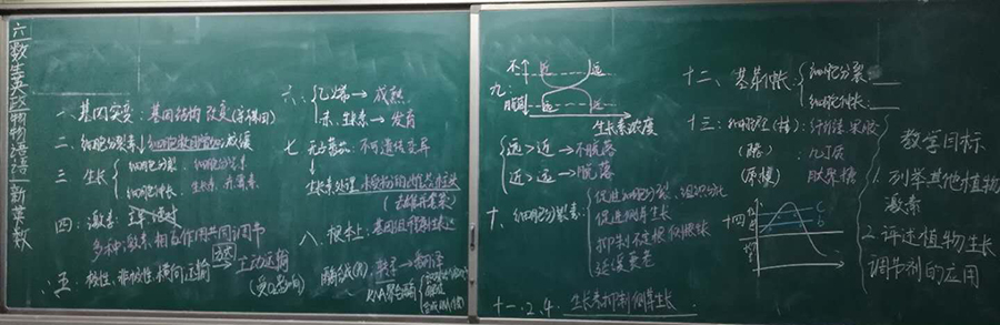 进一步规范课堂教学,我校教学中心在高一,二年级组织举行了板书设计