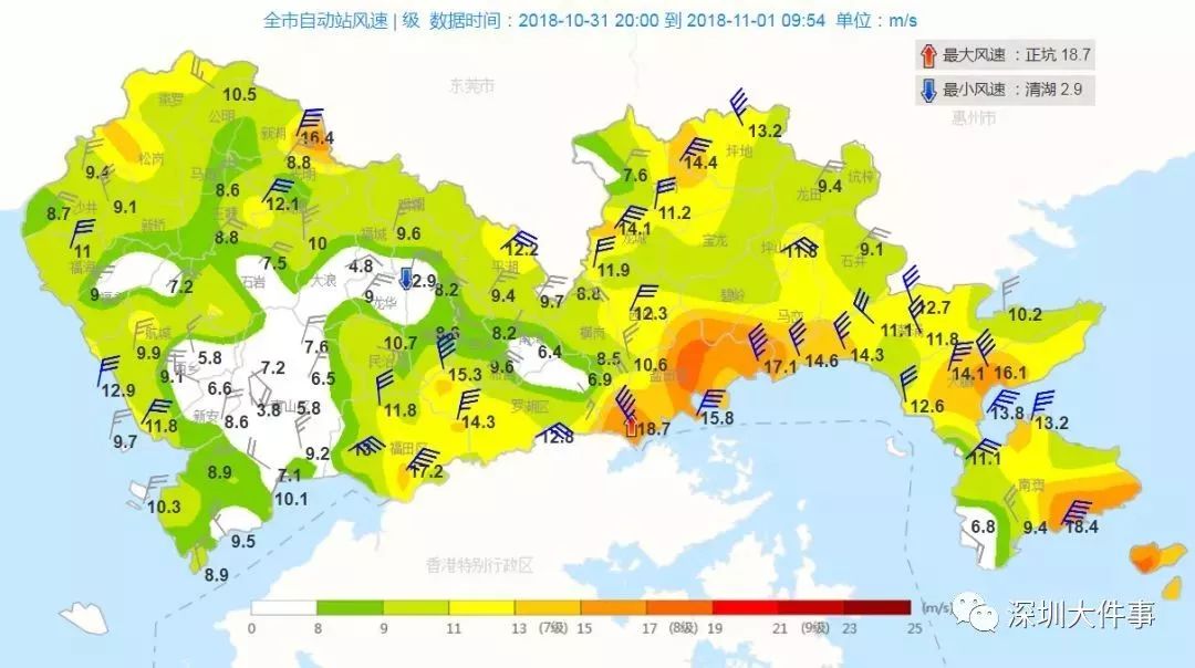 预警!大风即将抵达深圳,肥兔会被吹瘦吗?