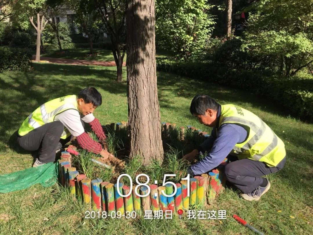 爱护花草树木美化小区环境