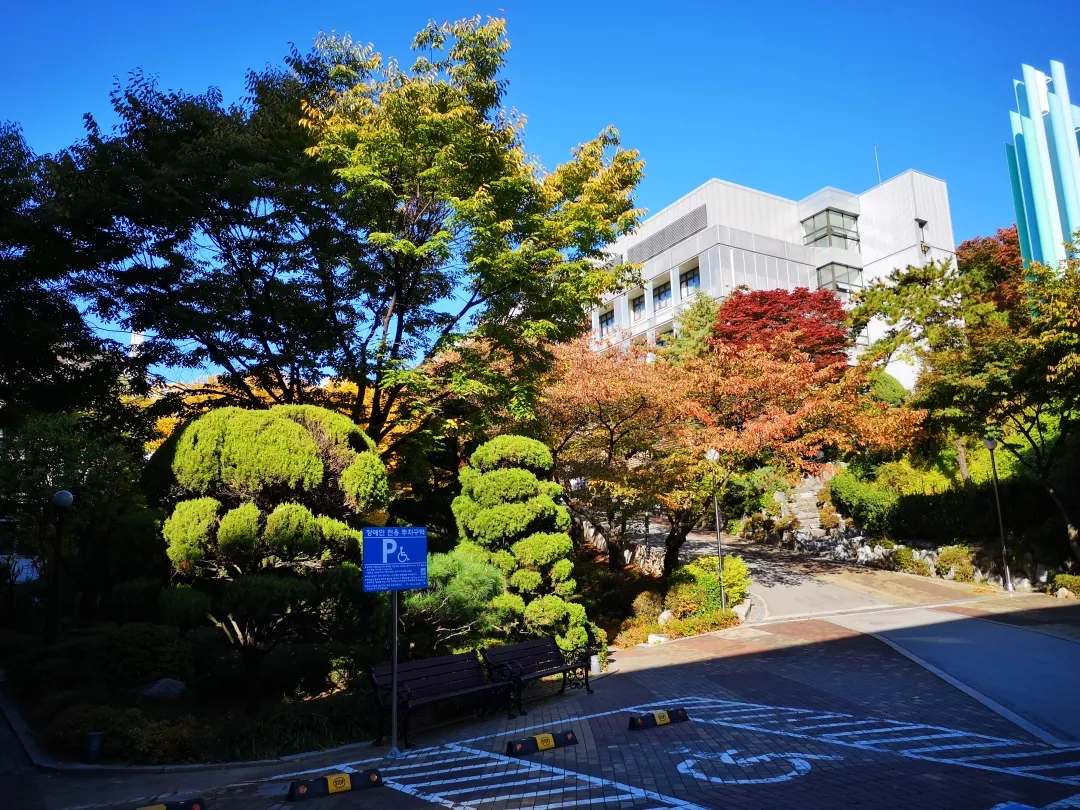 韩国同德女子大学是一所什么样的学校?