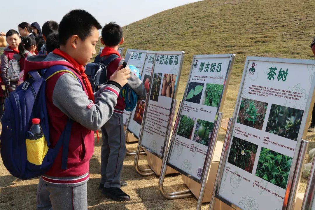 江宁区中小学生溪田生态农业园科普教育之行活动播报