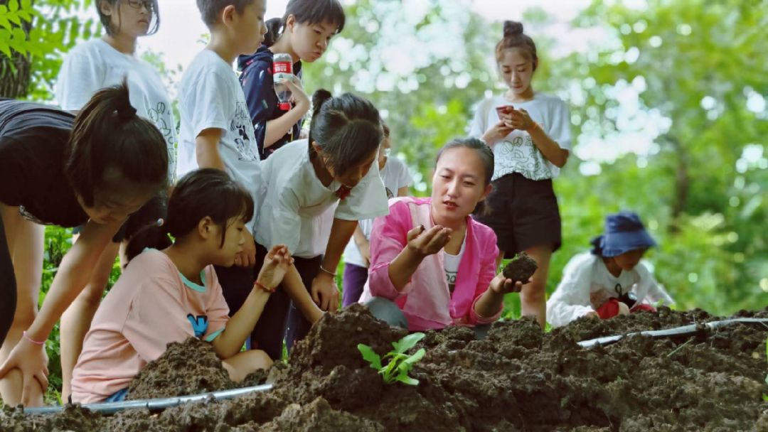 石嫣农民还在为生存挣扎凭什么要求他们种出更健康的食物