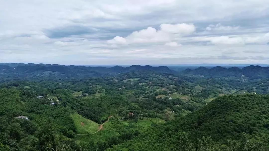 隶属邛崃山脉,位于"文君故里"邛崃市西南端,是四川大熊猫栖息地.