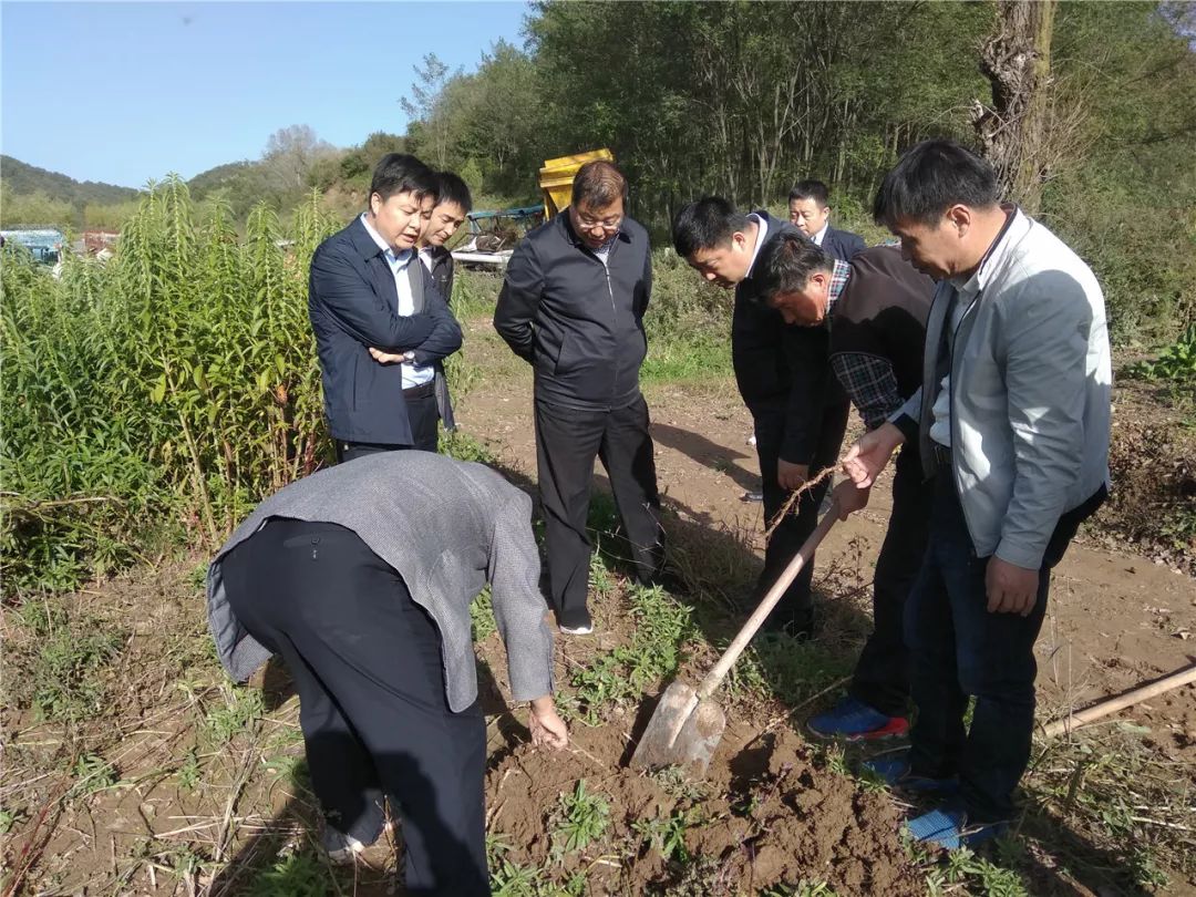 砥砺扬帆再起航—旬邑县清塬镇重点工作纪实