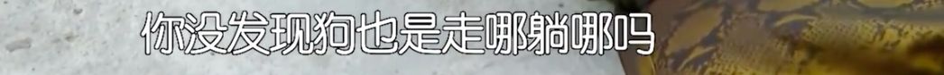 林彥俊在芒果臺“以下犯上”？坤音四子坑隊友？李誕偷懶終於被“教育”瞭？