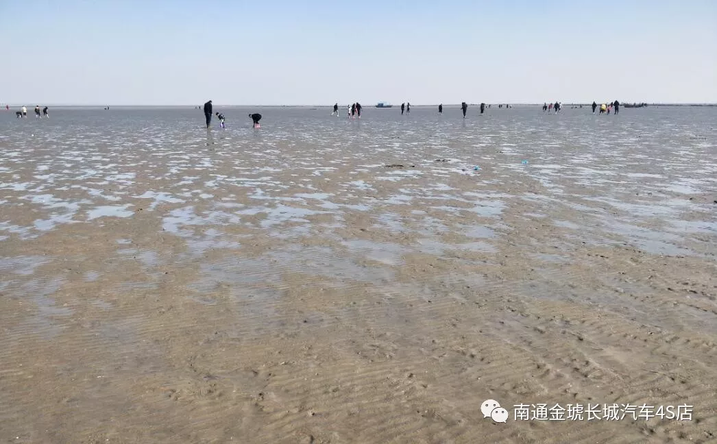 如东有多少人口_如东人看如东 主题活动走进沿海经济开发区(3)