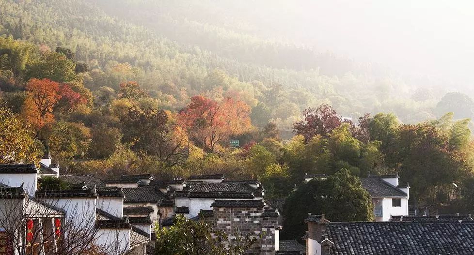 荔浦县有多少人口_荔浦这些名人,作为广西荔浦人,你认识几个 有没你家乡的