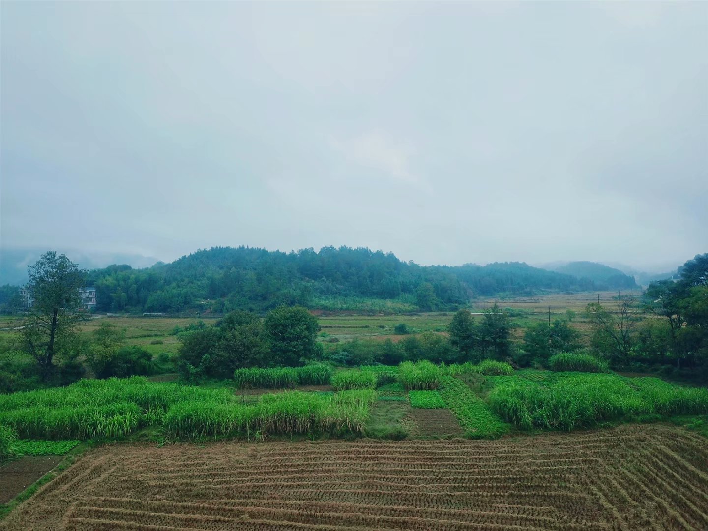 无法忘却的英雄：将信念铸成永恒