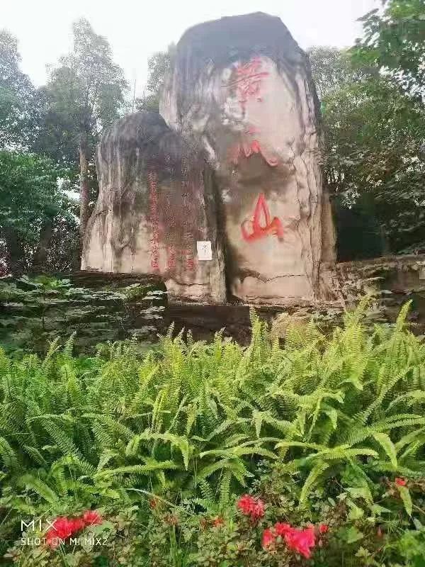 永川头条永川黄瓜山烤羊节开幕啦