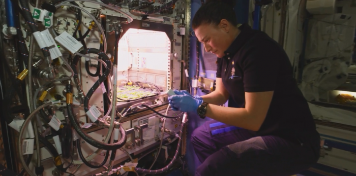 NASA发布首个来自太空的8K视频