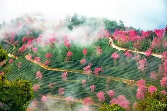 荔浦人口_荔浦扣肉的图片