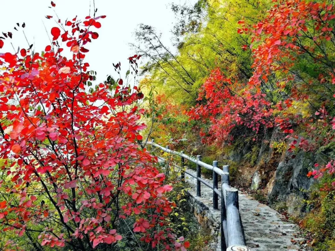 山西晋中平遥县段村镇有多少人口_山西平遥县古城浏览图