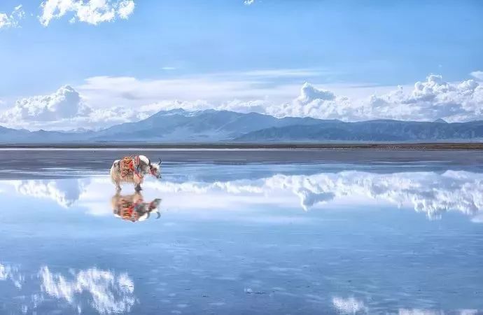 位列"青海四大景"之一的茶卡盐湖