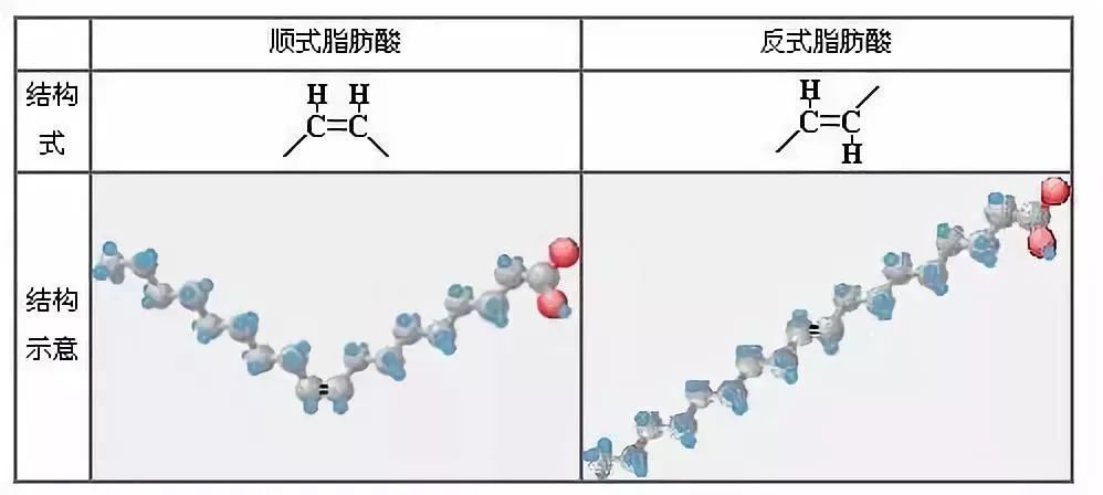 淄博每年死亡人口_淄博职业学院宿舍