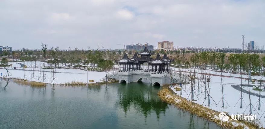 央视《丰收中国》走进泰兴,虹桥湿地公园c位出道!