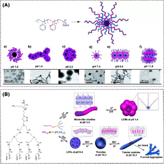 四川大学冯玉军课题组progpolysci刺激响应聚合物蠕虫状胶束