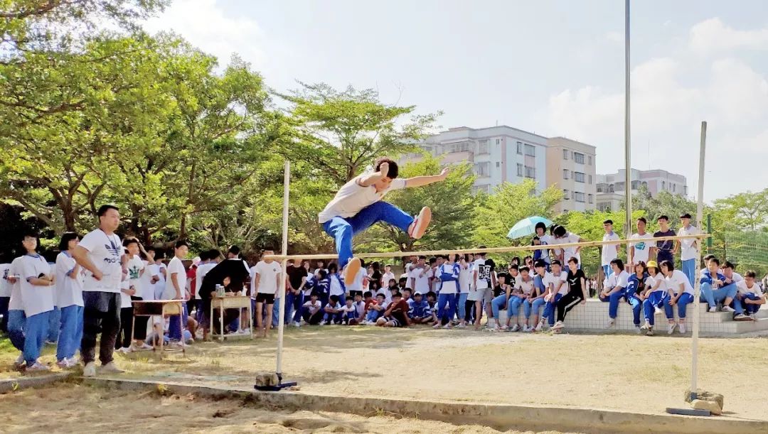 鹏权中学深井中学任远中学北陡中学台山市扫黑除恶举报渠道举报信箱