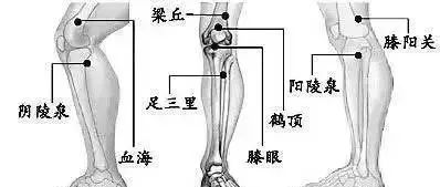 人老腿先老,膝盖最重要,这份膝盖使用说明书,请收下!