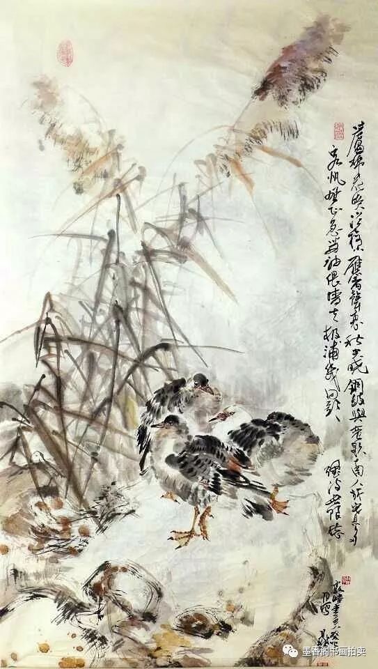 秋浓天高芦花飞,倦鸟归——著名画家 晁谷先生笔下的芦花