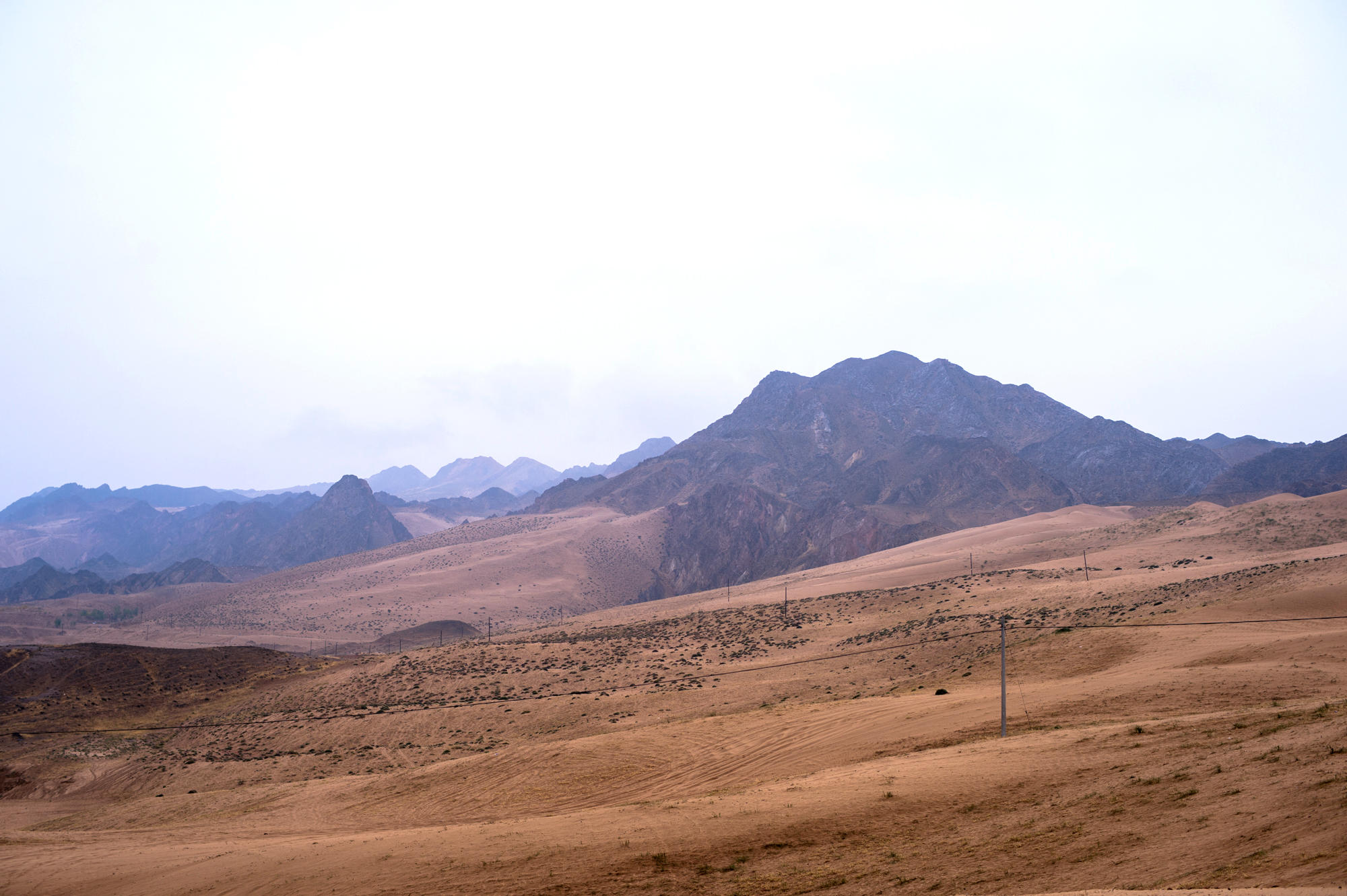 騰格裡沙漠邊緣的奇觀，一半沙漠一半黃河水，被譽為「塞上江南」 旅行 第7張
