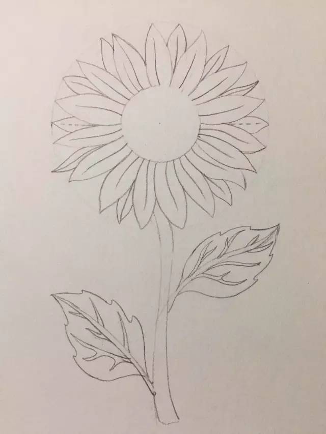 简笔画教程 | 零基础详细步骤起型,马克笔一朵暖暖的向日葵!