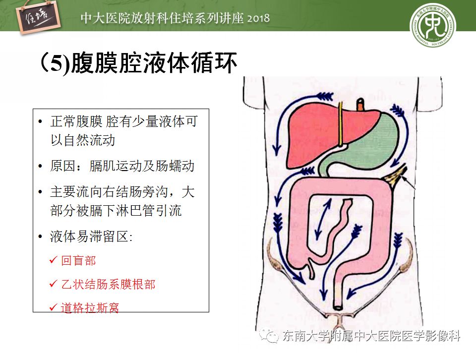 腹膜腹膜腔的影像解剖