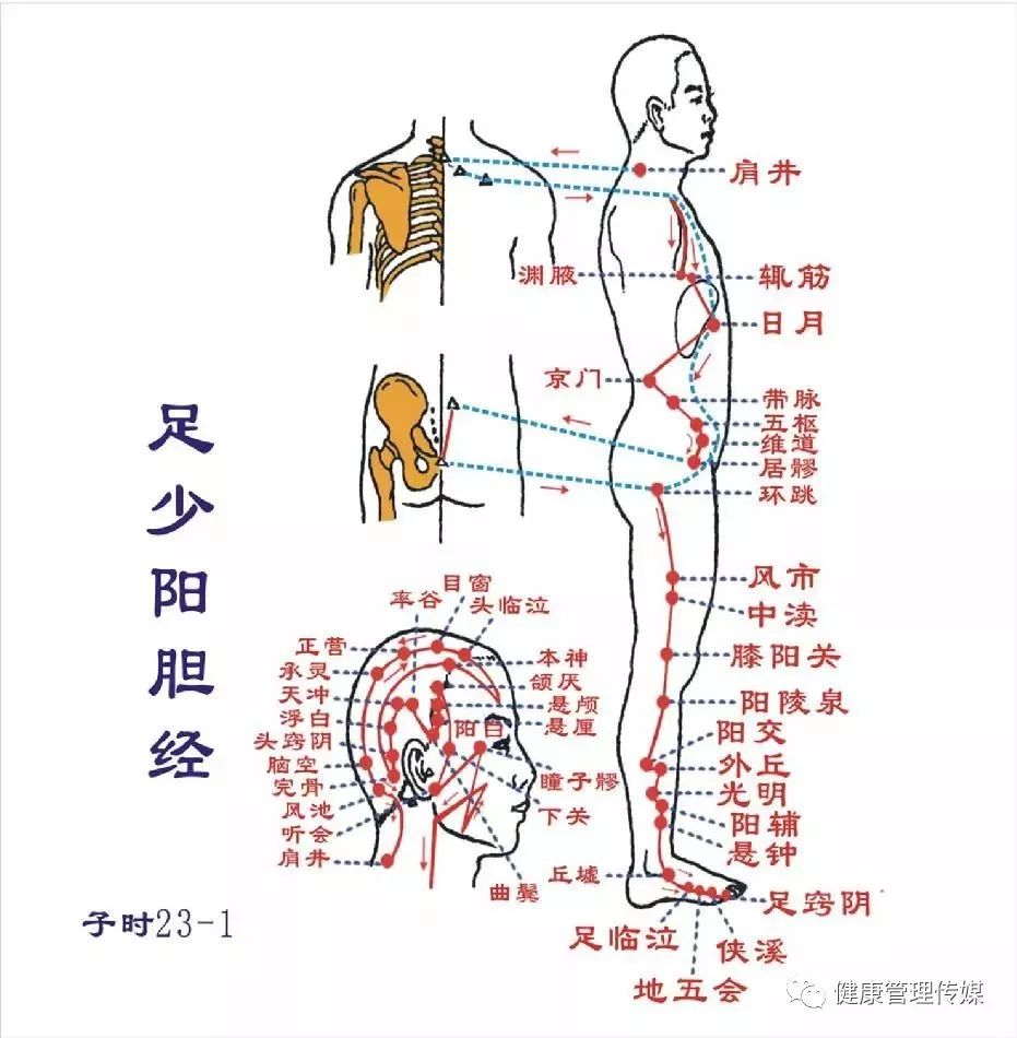 十四条经络阻塞后的表现,养生家人,经络理疗必备心经!