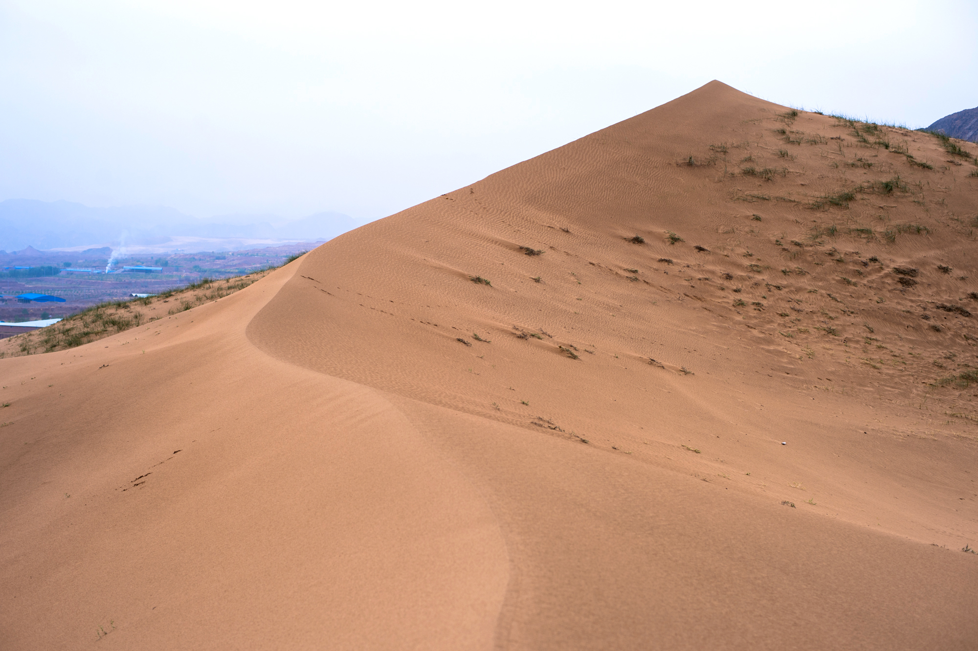 騰格裡沙漠邊緣的奇觀，一半沙漠一半黃河水，被譽為「塞上江南」 旅行 第10張