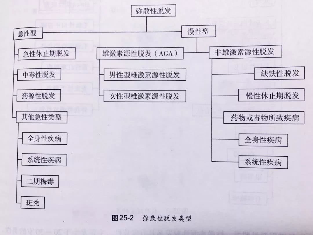 脱发专辑：安以轩帮陈乔恩P掉发际线,明星们也会困扰的问题！