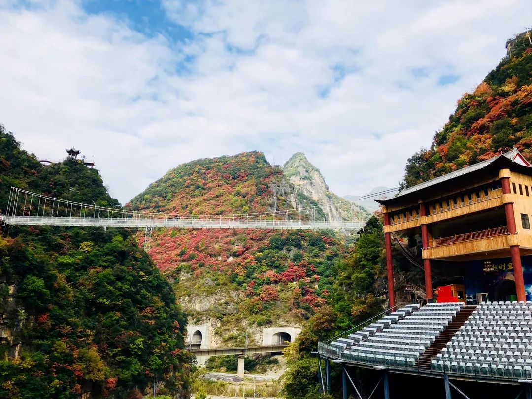 都说香山红叶好,怎比柞水红叶美!