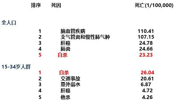 人口死因比例_人口比例(3)